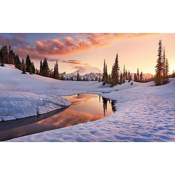 Vlies Fototapete America the Beautiful 450x280 cm günstig online kaufen