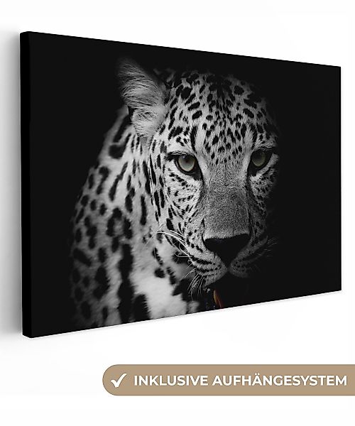 OneMillionCanvasses® Leinwandbild Tiere - Schwarz - günstig online kaufen