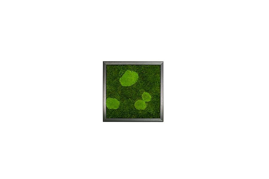 Moos-Design Bilderrahmen Moos Bild Forest Design günstig online kaufen