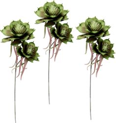 Kunstblume Soft-Magnolie, I.GE.A., Höhe 84 cm, günstig online kaufen