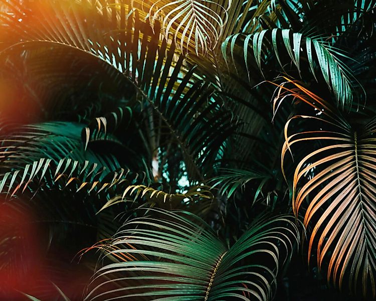 Fototapete "Jungle colour" 3,50x2,55 m / Glattvlies Perlmutt günstig online kaufen