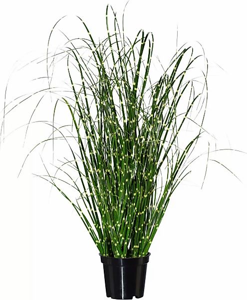 Creativ green Kunstgras "Miscanthus" günstig online kaufen