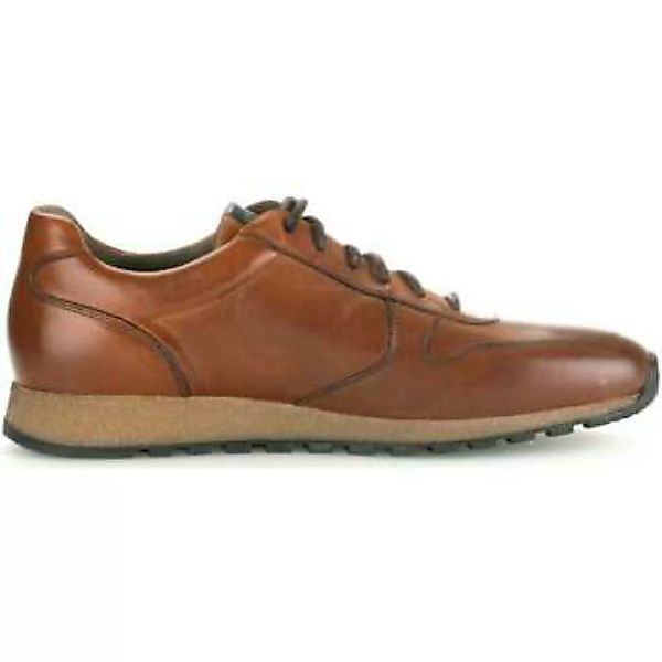 Pius Gabor  Sneaker 0496.13.11 günstig online kaufen