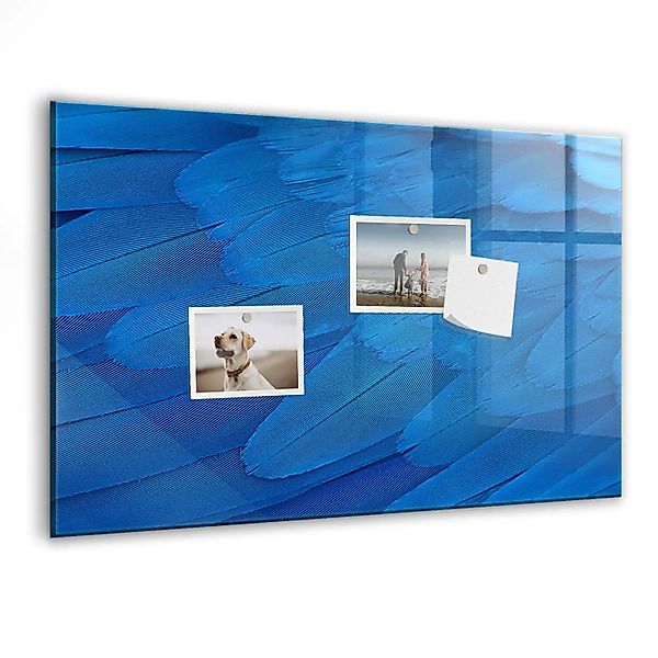 Tulup Magnettafel Aus Glas Vogelfeder 60x40 cm Whiteboard Magnetisch Glas W günstig online kaufen
