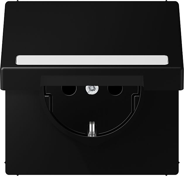 Jung SCHUKO Steckdose m.Schriftf.u.Klappd. LS 1520 BFNAKL SWM günstig online kaufen