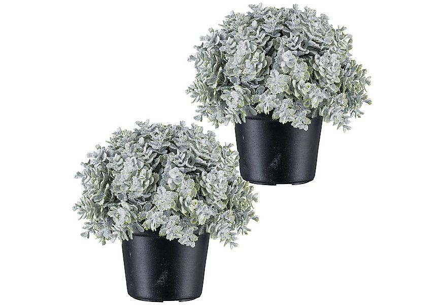 Kunstpflanze Eukalyptus, Creativ green, Höhe 13 cm, in Kugelform günstig online kaufen