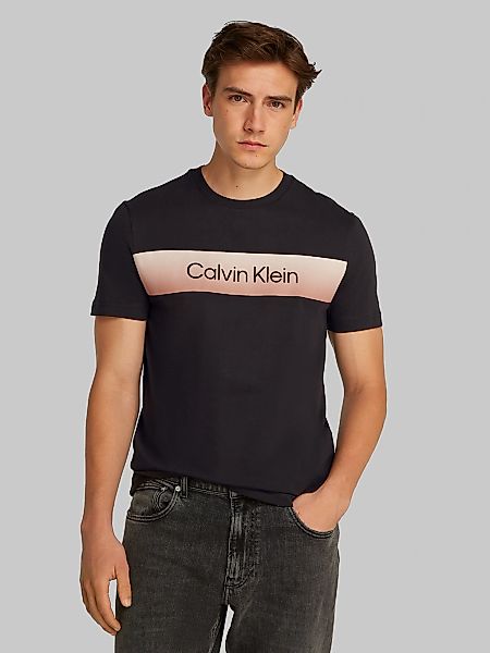 Calvin Klein T-Shirt LINEAR OMBRE CHEST günstig online kaufen