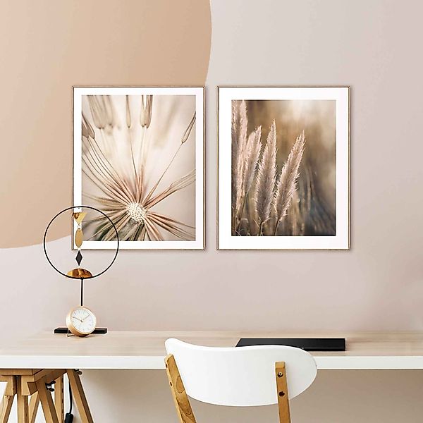 Reinders! Wandbild Natur Botanisch - Pampas günstig online kaufen
