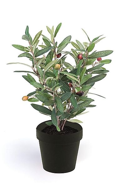 Künstliche Zimmerpflanze Grün, Durchmesser 11 cm, Emerald, Höhe 35 cm günstig online kaufen