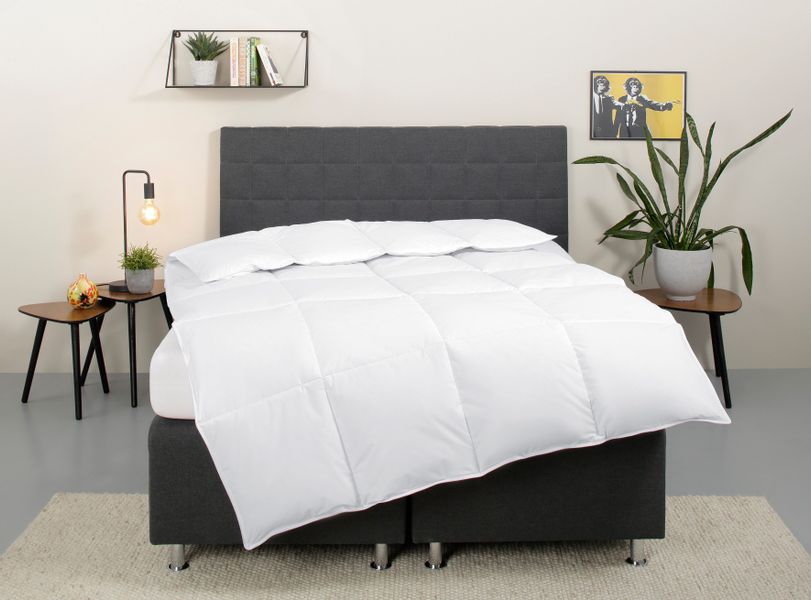 my home Daunenbettdecke "Cyra, Bettdecke 135x200 cm, 155x220 cm" extrawarm günstig online kaufen