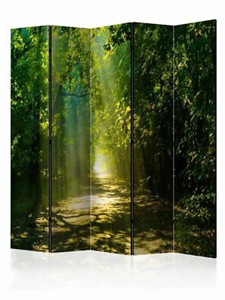 artgeist Paravent Road in Sunlight II [Room Dividers] braun-kombi Gr. 225 x günstig online kaufen