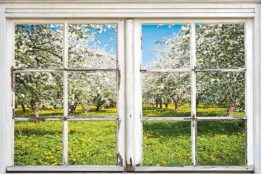 queence Leinwandbild "Apfelbäume" Bäume  Fensterblick  Natur  Wiesen & Bäum günstig online kaufen