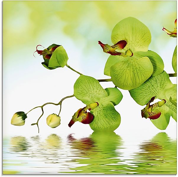 Artland Glasbild "Schöne Orchidee mit grünem Hintergrund" Blumen 1 Stk. tlg günstig online kaufen