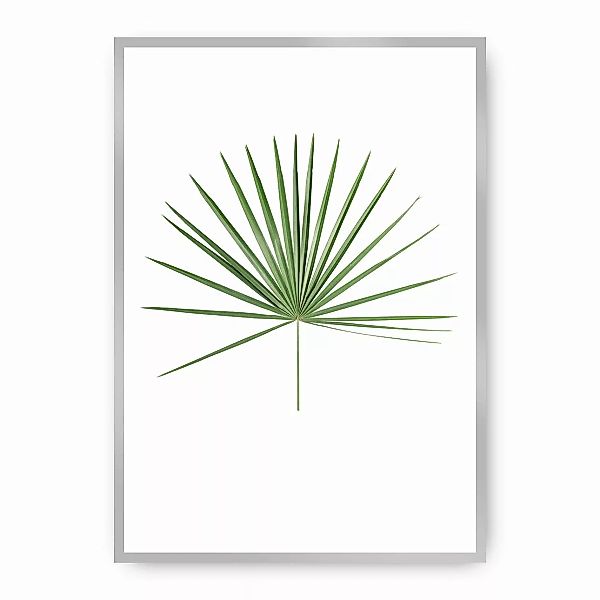 Poster Tropical Leaf Green, 30 x 40 cm, Rahmen wählen: silber günstig online kaufen