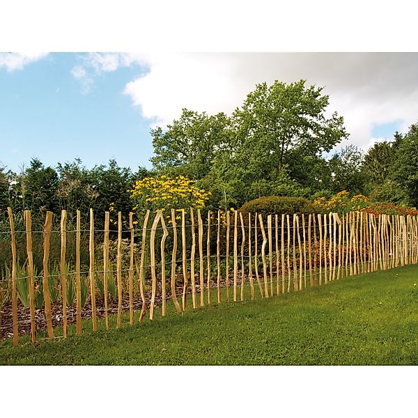 Kiehn-Holz Staketenzaun, LxH: 500x90 cm günstig online kaufen