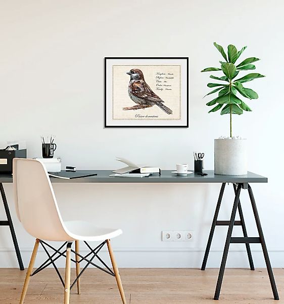 queence Bild »Passer domesticus«, Vögel-Vogelbilder-historische Ereignisse- günstig online kaufen