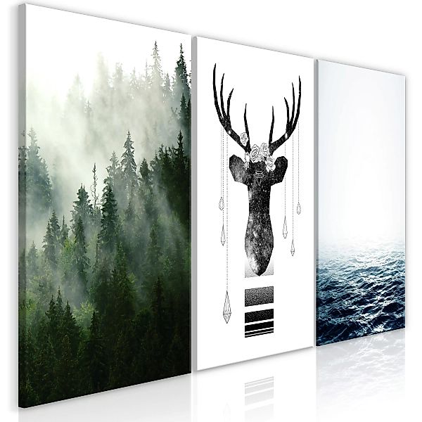 Wandbild - Chilly Nature (Collection) günstig online kaufen