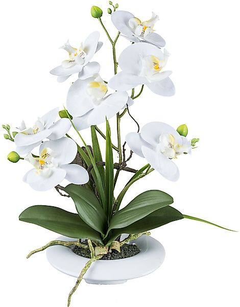Kunstorchidee Orchidee Phalaenopsis, Creativ green, Höhe günstig online kaufen