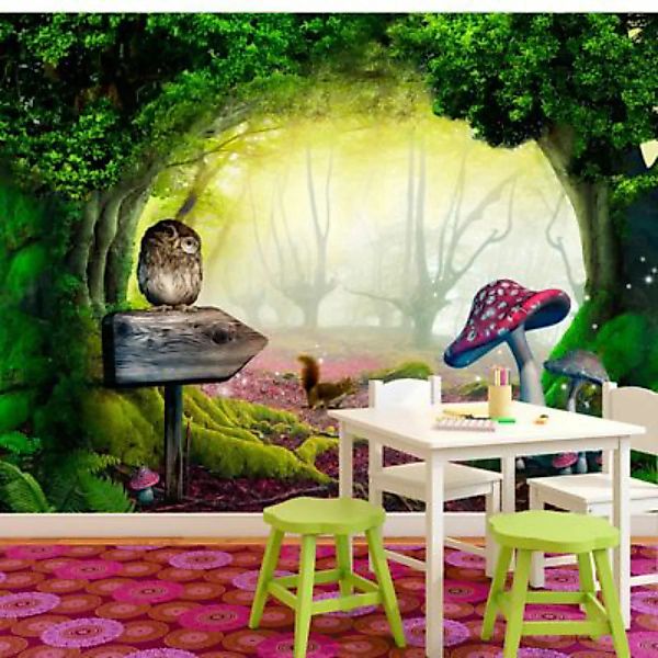 artgeist Fototapete Owlish corner grün/rosa Gr. 300 x 210 günstig online kaufen