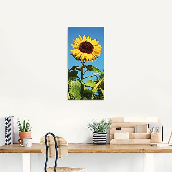 Artland Glasbild »Große Sonnenblume«, Blumen, (1 St.), in verschiedenen Grö günstig online kaufen