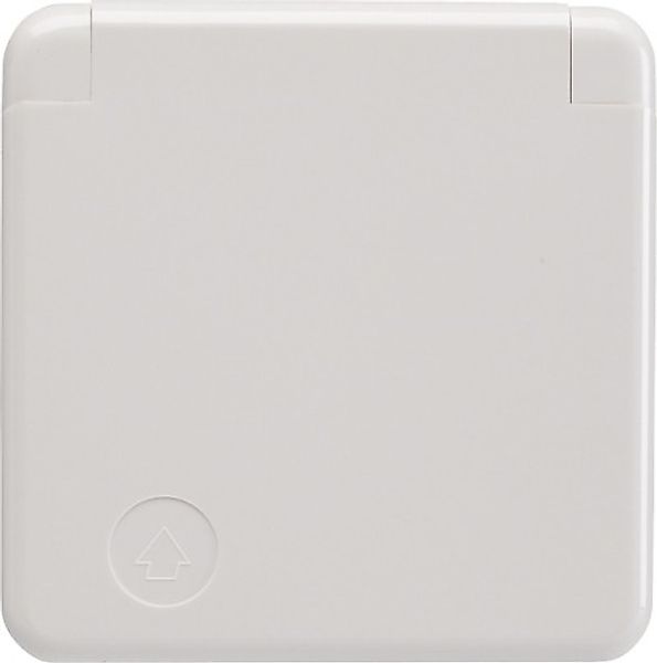 Berker Steckdose pws SCHUKO- 421109 - 421109 günstig online kaufen