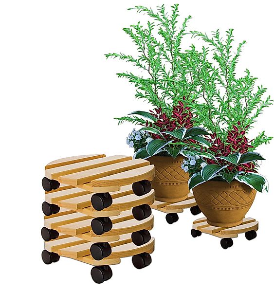 BigDean Blumentopfuntersetzer Pflanzenroller rund Buchenholz Holz günstig online kaufen