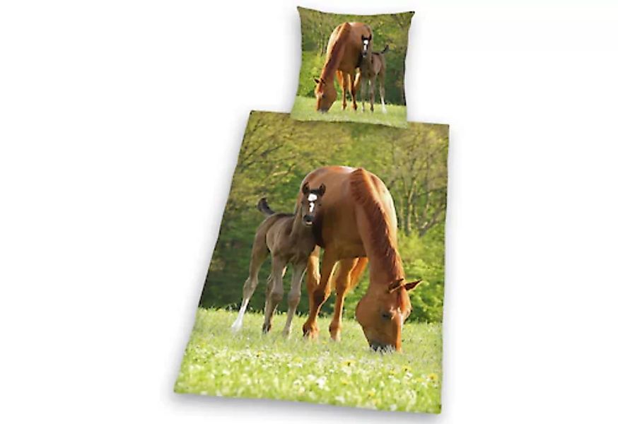 Herding Young Collection Kinderbettwäsche »Pferd mit Fohlen«, (2 tlg.) günstig online kaufen