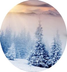 Leonado Vicenti Bettwäsche 4 tlg Winter günstig online kaufen