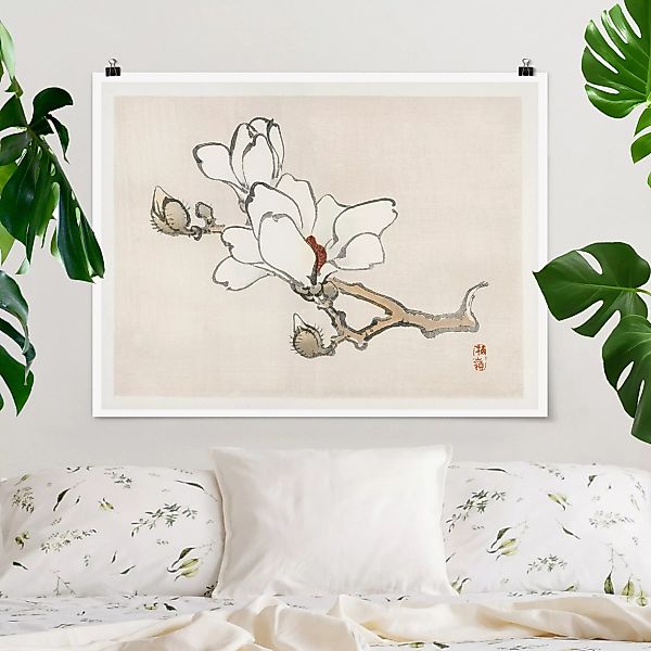 Poster Asiatische Vintage Zeichnung Weiße Magnolie günstig online kaufen