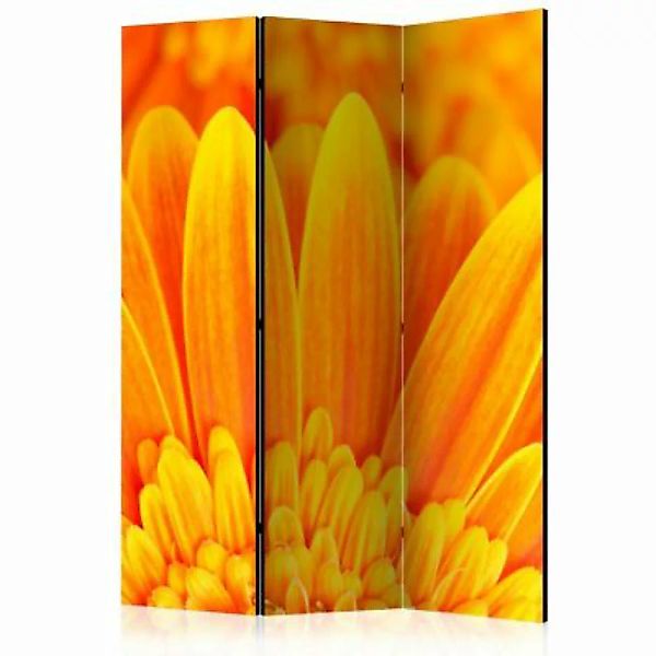 artgeist Paravent Yellow gerbera daisies [Room Dividers] gelb-kombi Gr. 135 günstig online kaufen