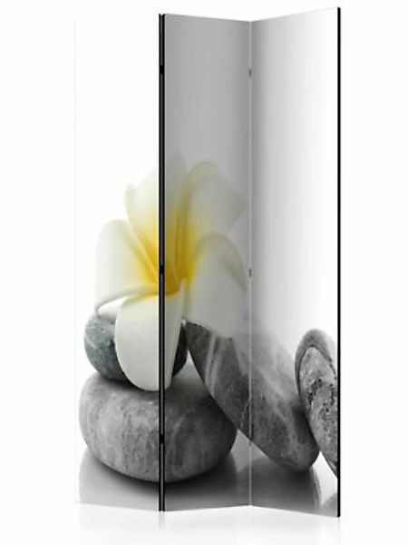artgeist Paravent White Lotus [Room Dividers] grau/weiß Gr. 135 x 172 günstig online kaufen