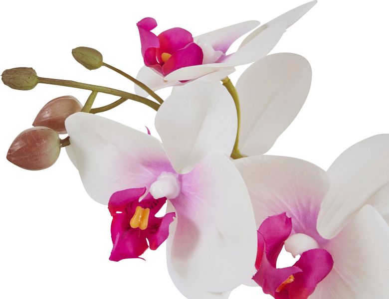 Kunstpflanze Orchidee, Home affaire, Höhe 38 günstig online kaufen