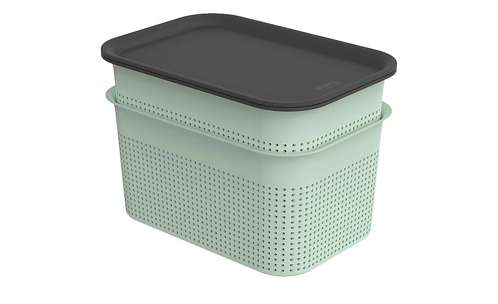 Rotho Aufbewahrungsbox, Set 4 tlg. - grün - Polypropylen - 26 cm - 17 cm - günstig online kaufen