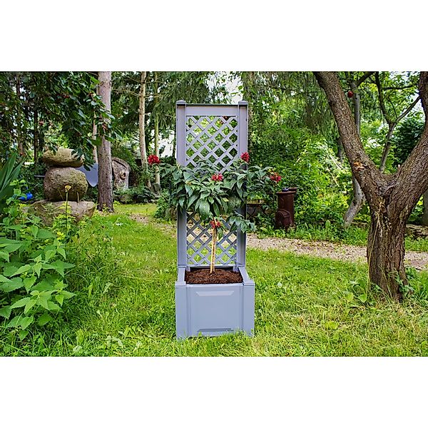KHW Spalier, mit Pflanzkasten, BxTxH: 43x43x140 günstig online kaufen