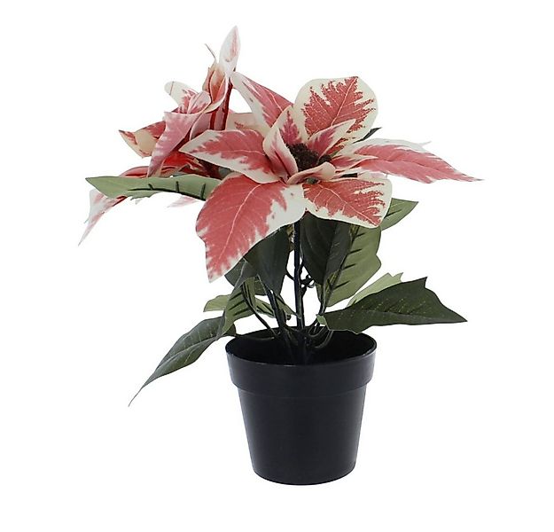 Kunstblume Weihnachtsstern im Topf weiß/pink - ca. 24 cm, MICA günstig online kaufen