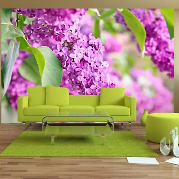 artgeist Fototapete Lilac flowers mehrfarbig Gr. 200 x 140 günstig online kaufen