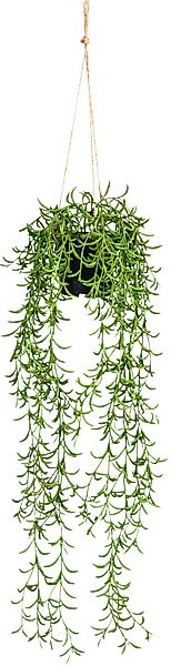 Creativ green Kunstranke "Nerifolia-Hänger", im Hängetopf aus Kunststoff günstig online kaufen