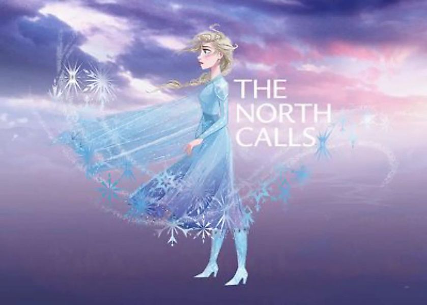 KOMAR Wandbild - Frozen Elsa The North Calls - Größe: 70 x 50 cm mehrfarbig günstig online kaufen