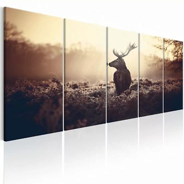 artgeist Wandbild Stag in the Wilderness mehrfarbig Gr. 200 x 80 günstig online kaufen
