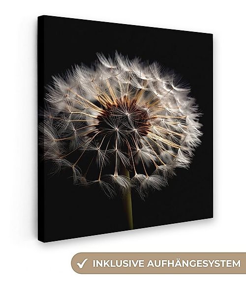 OneMillionCanvasses® Leinwandbild Blumen - Natur - Löwenzahn - Schwarz - Po günstig online kaufen