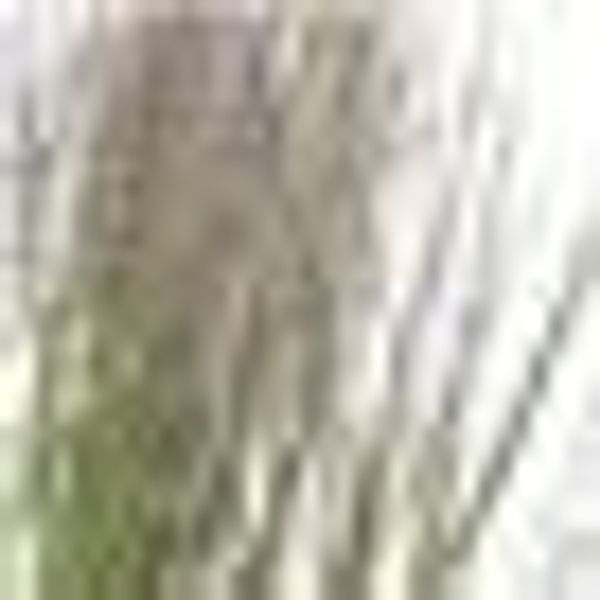 I.GE.A. Kunstpflanze "Fuchsschwanzgras" günstig online kaufen