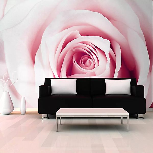 Fototapete - Rose maze günstig online kaufen
