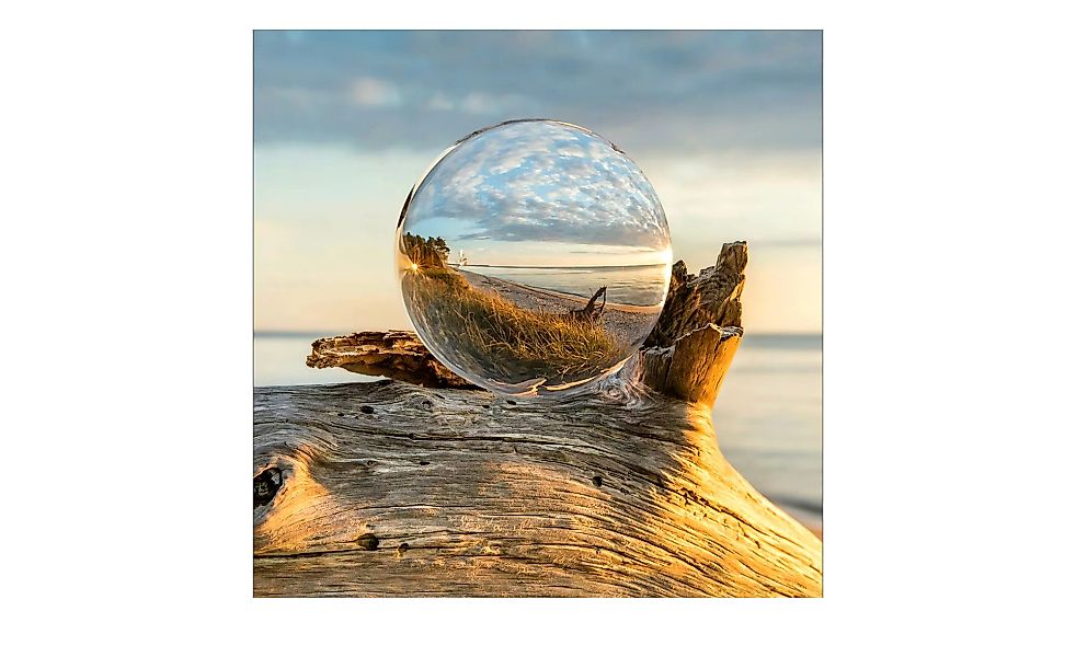Glasbild 50x50 cm  Drop on Wood - 50 cm - 50 cm - Sconto günstig online kaufen