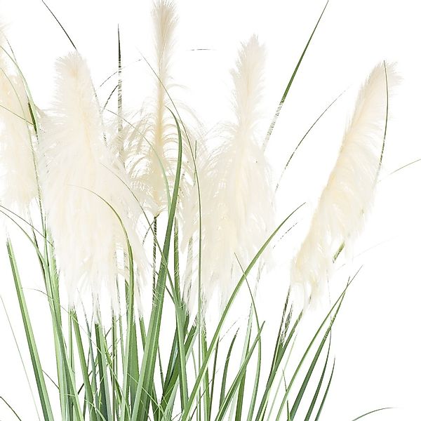 Creativ green Kunstgras »Pampasgras«, mit fünf Pampasgrasblüten günstig online kaufen