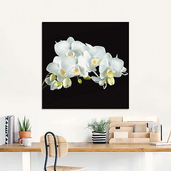 Artland Glasbild "Weiße Orchidee auf schwarzem Hintergrund" 1 Stk. tlg. in günstig online kaufen