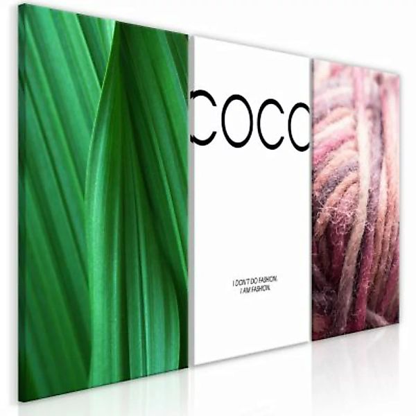 artgeist Wandbild Coco (Collection) mehrfarbig Gr. 60 x 30 günstig online kaufen