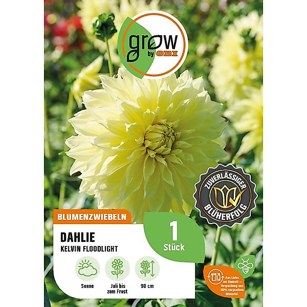 GROW by OBI Dahlie Kelvin Floodlight Höhe ca. 90 cm günstig online kaufen