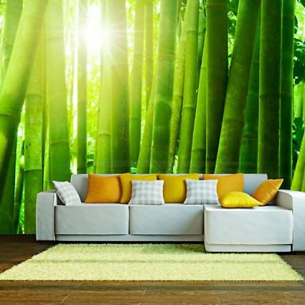 artgeist Fototapete Sonne und Bambus grün/weiß Gr. 350 x 270 günstig online kaufen