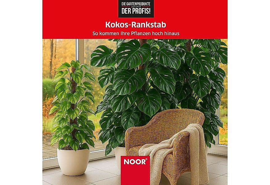 NOOR Rankhilfe Kokos-Rankstab mit Holzstiel - verlängerbar - ideale Wachstu günstig online kaufen