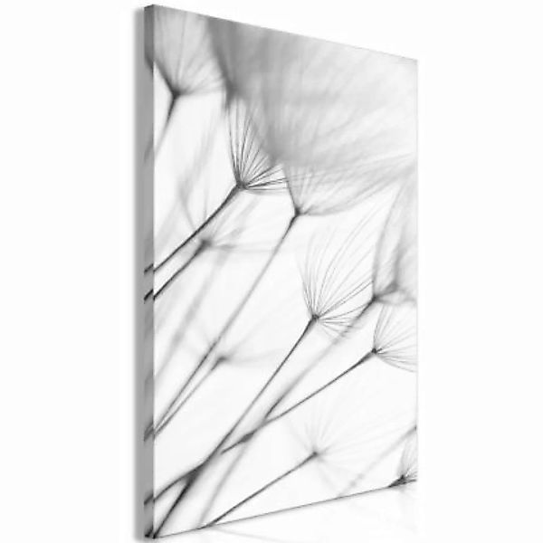 artgeist Wandbild Lightness of Moment (1 Part) Vertical schwarz/weiß Gr. 40 günstig online kaufen